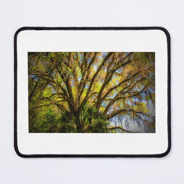 Item preview, The Beauty of a Canopy of Autumn Hues Paynes Prairie Artistic Photograph designed and sold by Shannon Sears .