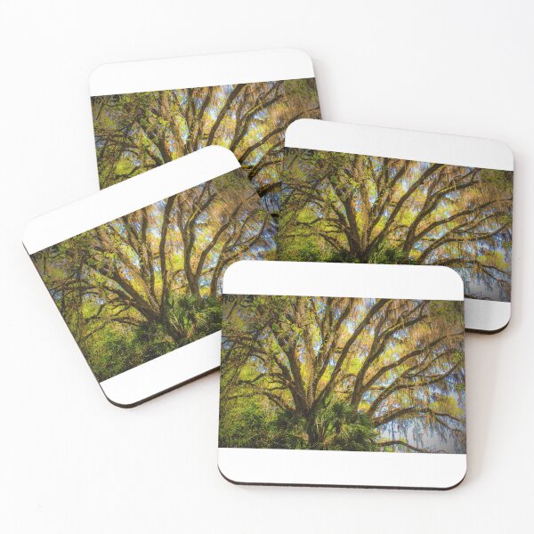 Item preview, The Beauty of a Canopy of Autumn Hues Paynes Prairie Artistic Photograph designed and sold by Shannon Sears .