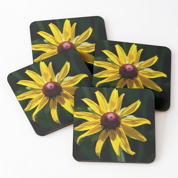 Item preview, Black-eyed Susan photo designed and sold by Cblifeisgood.