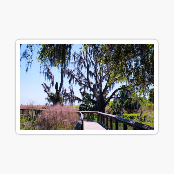 Item preview, Perfect Sunny Day for a Stroll on Alligator Boardwalk Paynes Prairie Artistic Photograph designed and sold by Shannon Sears .