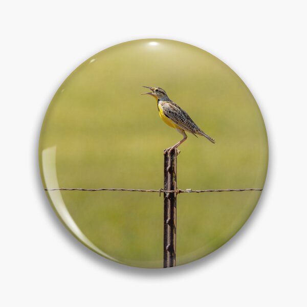 Item preview, Western Meadowlark Speaking Out designed and sold by PsychoAlien.com.