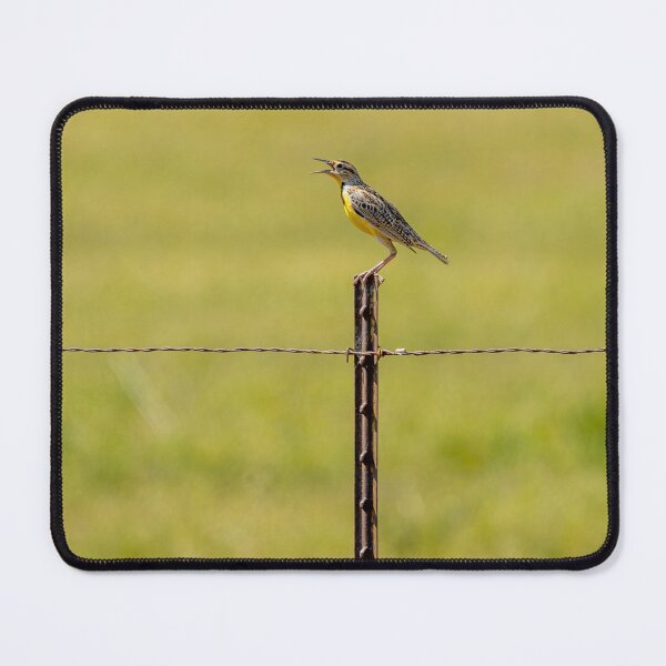Item preview, Western Meadowlark Speaking Out designed and sold by PsychoAlien.com.
