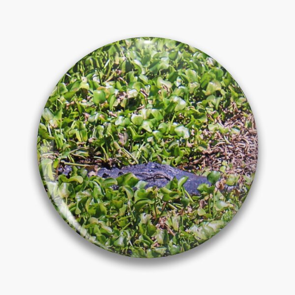Item preview, Hidden Amongst the Greenery of Lilypad's a Gator Awaits Paynes Prairie Artistic Photograph designed and sold by Shannon Sears .