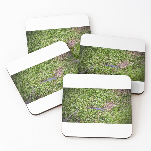 Item preview, Hidden Amongst the Greenery of Lilypad's a Gator Awaits Paynes Prairie Artistic Photograph designed and sold by Shannon Sears .