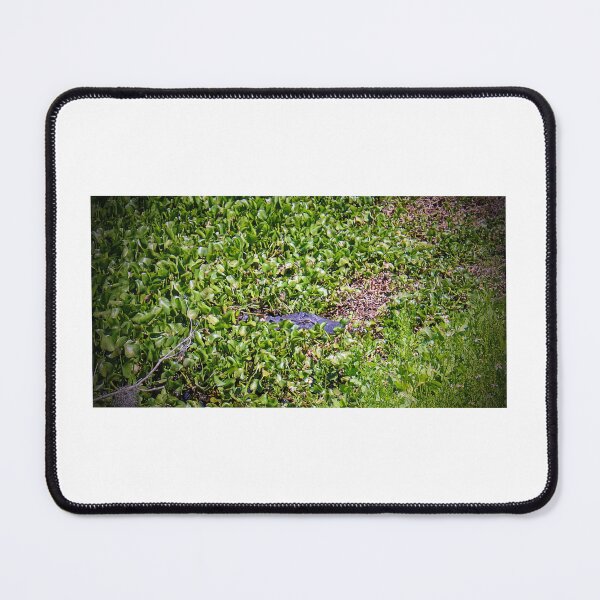 Item preview, Hidden Amongst the Greenery of Lilypad's a Gator Awaits Paynes Prairie Artistic Photograph designed and sold by Shannon Sears .