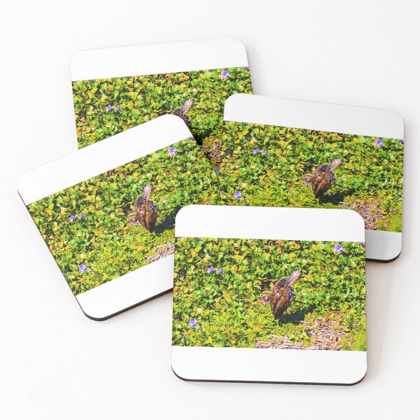 Item preview, Limpkin preening in the Lilypad's and purple flowers Paynes Prairie Artistic Photograph designed and sold by Shannon Sears .
