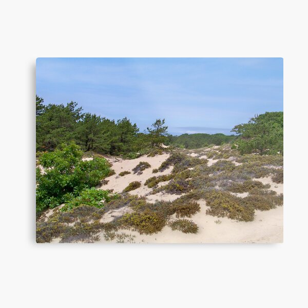 Item preview, Montauk Walking Dunes designed and sold by Dandelion Dilluvio.