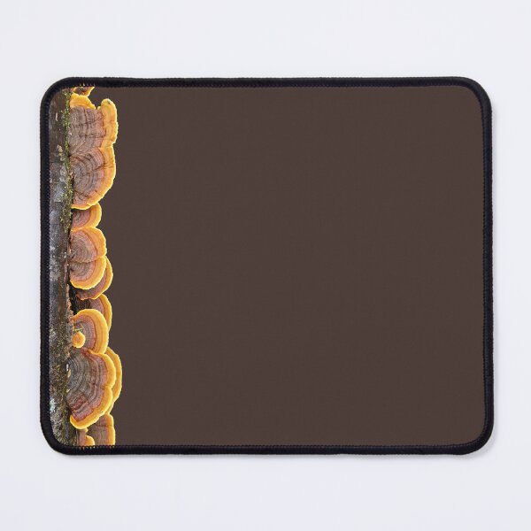 Item preview, A row of golden False turkey-tail - Huon Valley - Hastings Caves - dark natural background designed and sold by SlicerArt.ism.