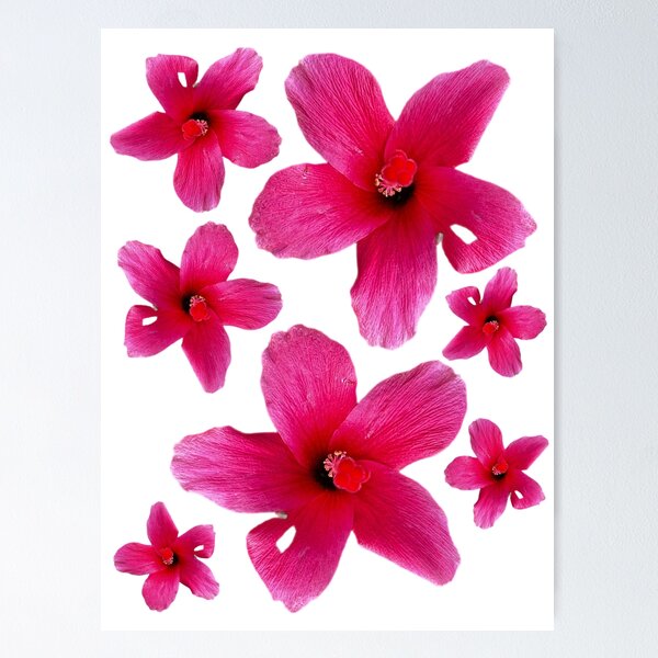 Item preview, Hibiscus  designed and sold by cactguy.