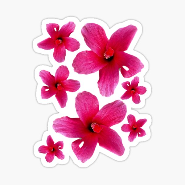 Artikelvorschau, Hibiscus  entworfen und verkauft von cactguy.