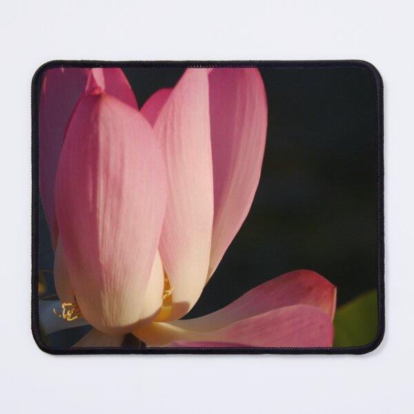 Item preview, Water Lily designed and sold by CapturedByKate.