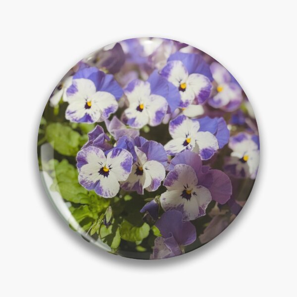 Item preview, Violas  designed and sold by SporadicSparrow.