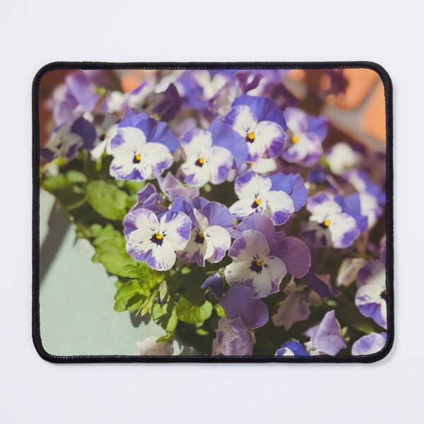 Item preview, Violas  designed and sold by SporadicSparrow.