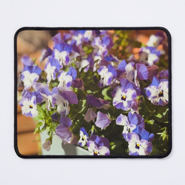 Item preview, Sunny Violas  designed and sold by SporadicSparrow.