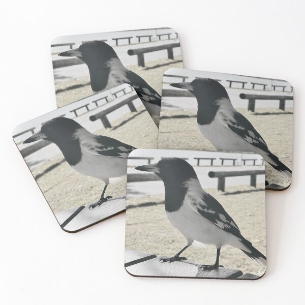 Item preview, Butcher Bird Friend designed and sold by SporadicSparrow.