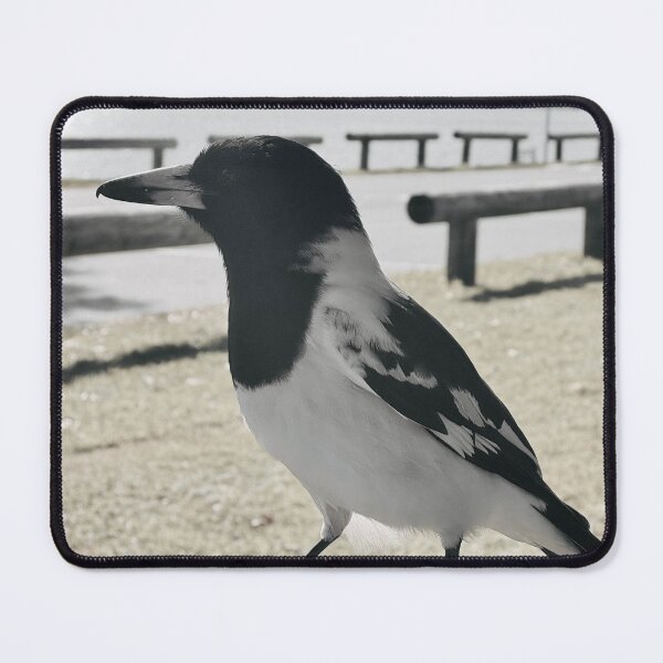 Item preview, Butcher Bird Friend designed and sold by SporadicSparrow.