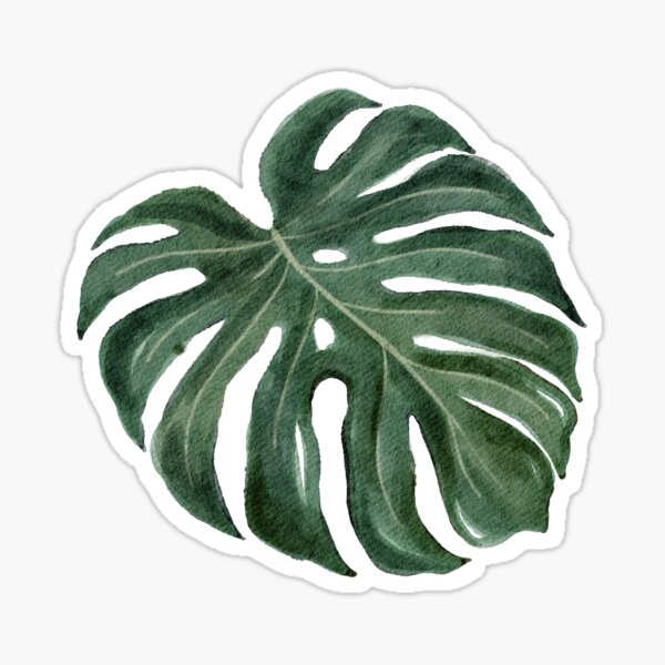 Item preview, Monstera Watercolour designed and sold by Wild Sacred Soul.