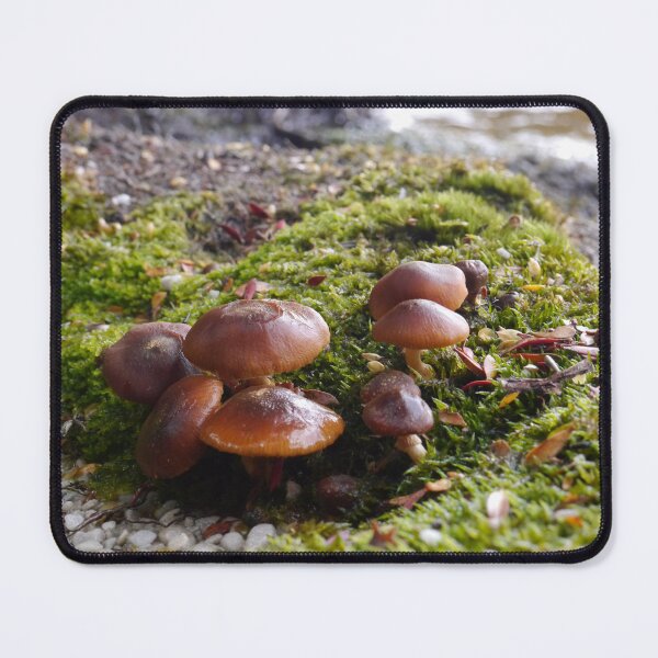 Item preview, Mushroom Forest designed and sold by CapturedByKate.