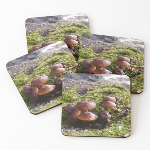Item preview, Mushroom Forest designed and sold by CapturedByKate.