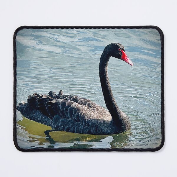 Item preview, River Swan designed and sold by SporadicSparrow.