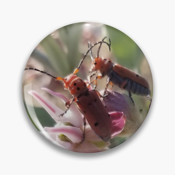 Item preview, Longhorn Milkweed Beetle designed and sold by WillsFleshArt.