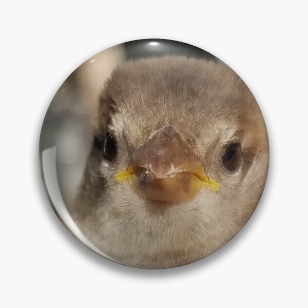 Item preview, Sparrow designed and sold by WillsFleshArt.