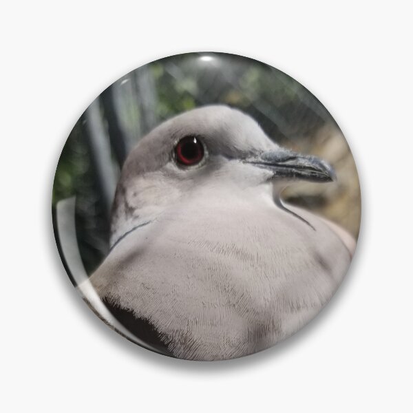 Item preview, European Collared Dove designed and sold by WillsFleshArt.