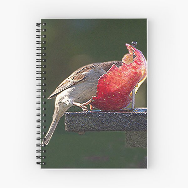 Item preview, Sparrow......I'm late so only get the left overs........!! designed and sold by Roy  Massicks.