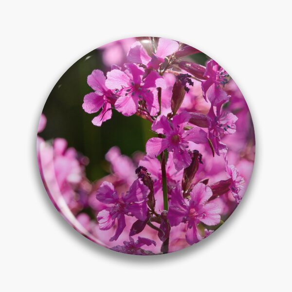 Item preview, Hot pink. Sticky Catchfly designed and sold by Jouko Lehto Photography.