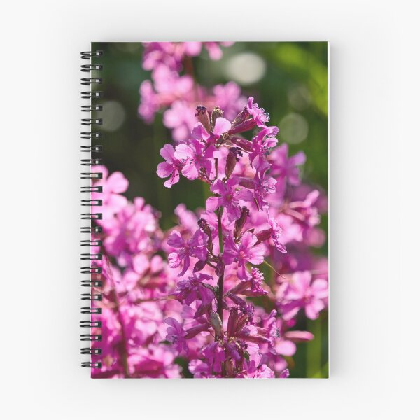 Item preview, Hot pink. Sticky Catchfly designed and sold by Jouko Lehto Photography.