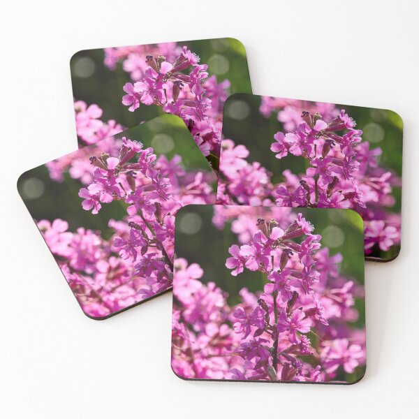 Item preview, Hot pink. Sticky Catchfly designed and sold by Jouko Lehto Photography.