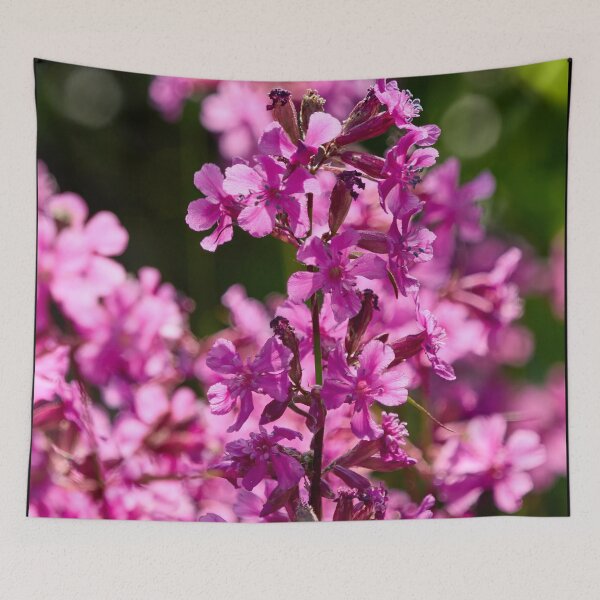 Item preview, Hot pink. Sticky Catchfly designed and sold by Jouko Lehto Photography.