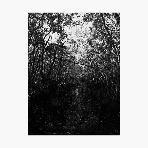 Item preview, Siuro Jungle bw designed and sold by Jouko Lehto Photography.