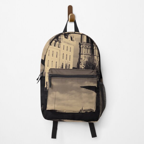 Item preview, Notre Dame with bird, high contrast sepia designed and sold by Dryft7.