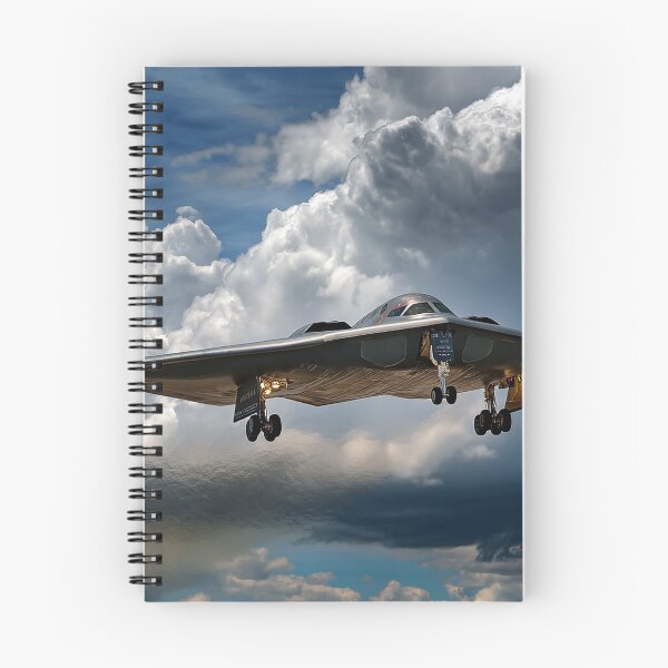 Item preview, Shadow in the Sky The B-2 Spirit Stealth Bomber designed and sold by Skyframe Aviation.