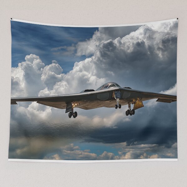 Item preview, Shadow in the Sky The B-2 Spirit Stealth Bomber designed and sold by Skyframe Aviation.