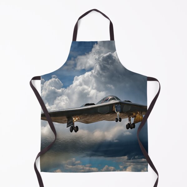 Item preview, Shadow in the Sky The B-2 Spirit Stealth Bomber designed and sold by Skyframe Aviation.