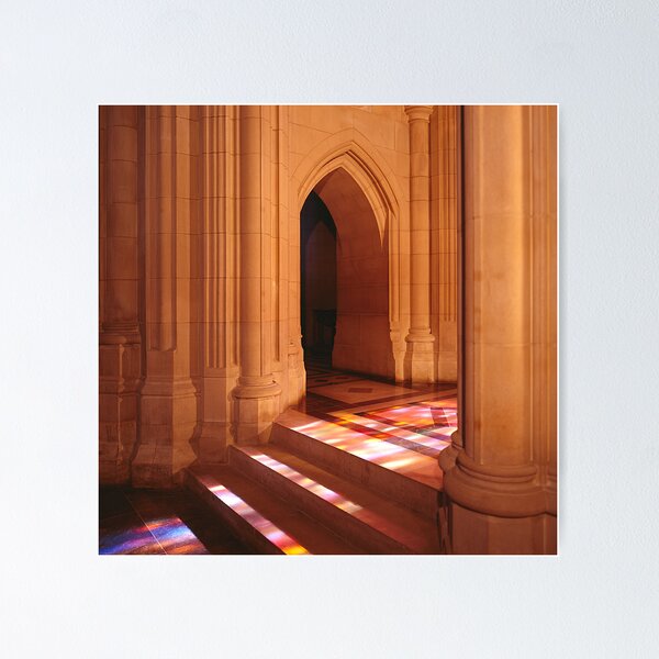 Item preview, National Cathedral Steps, Washington, D.C. designed and sold by Carol M.  Highsmith.