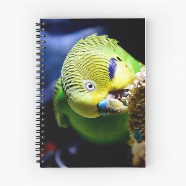 Item preview,  Budgerigar designed and sold by MercerImages.