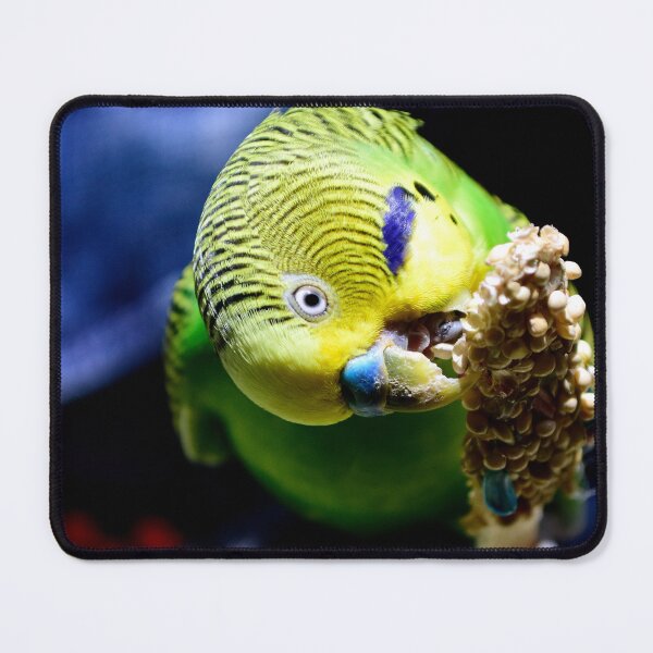 Item preview, Budgerigar designed and sold by MercerImages.