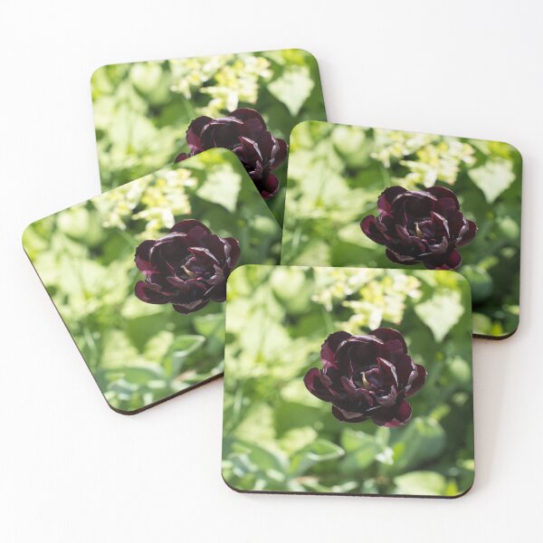 Item preview, Sunlit Queen of the Night Black Tulip designed and sold by Georgia Mizuleva.