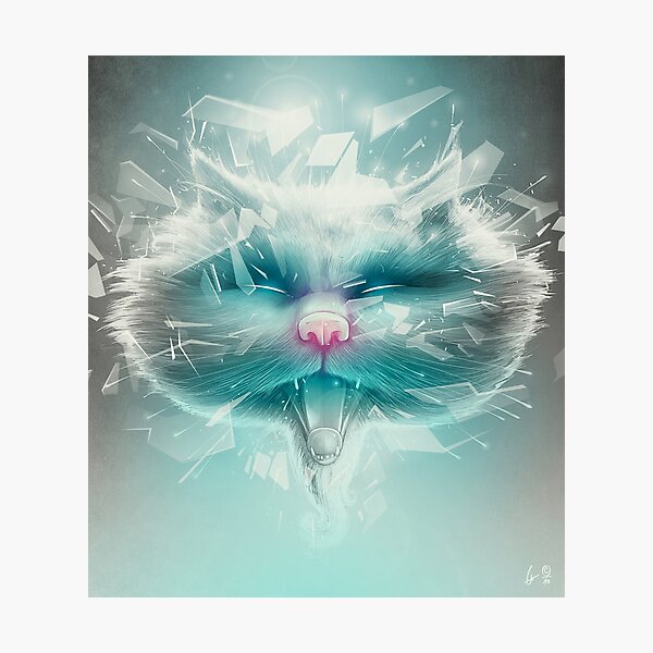 Photographic Print