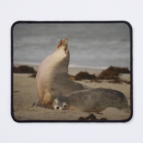 Item preview, Sealions designed and sold by CapturedByKate.