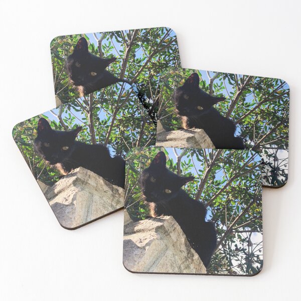 Item preview, Black cat watching from wall designed and sold by Dryft7.