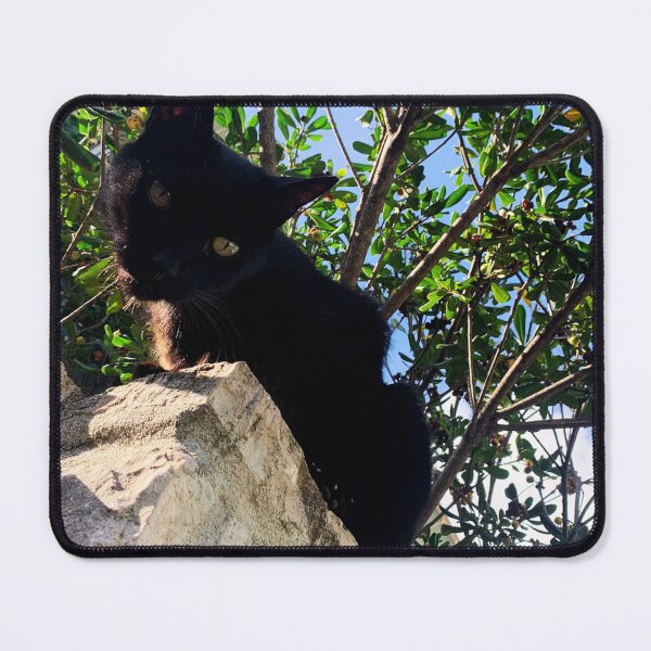 Item preview, Black cat watching from wall designed and sold by Dryft7.