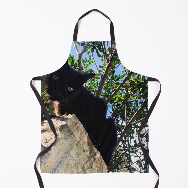 Item preview, Black cat watching from wall designed and sold by Dryft7.