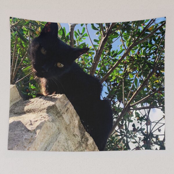 Item preview, Black cat watching from wall designed and sold by Dryft7.