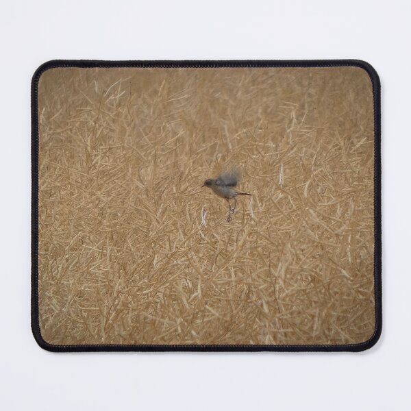 Item preview, Whinchat in Rapeseed Field - Rustic Minimal Nature Print designed and sold by tothkataphoto.