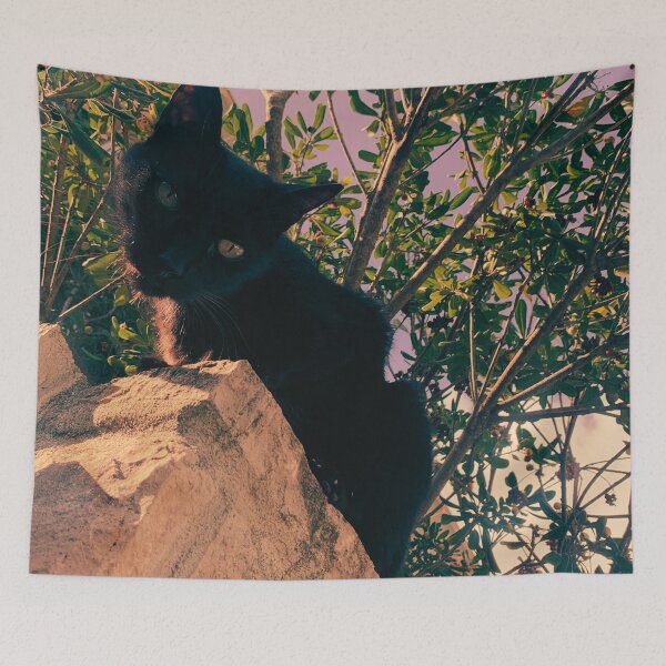 Item preview, Black cat watching from wall designed and sold by Dryft7.