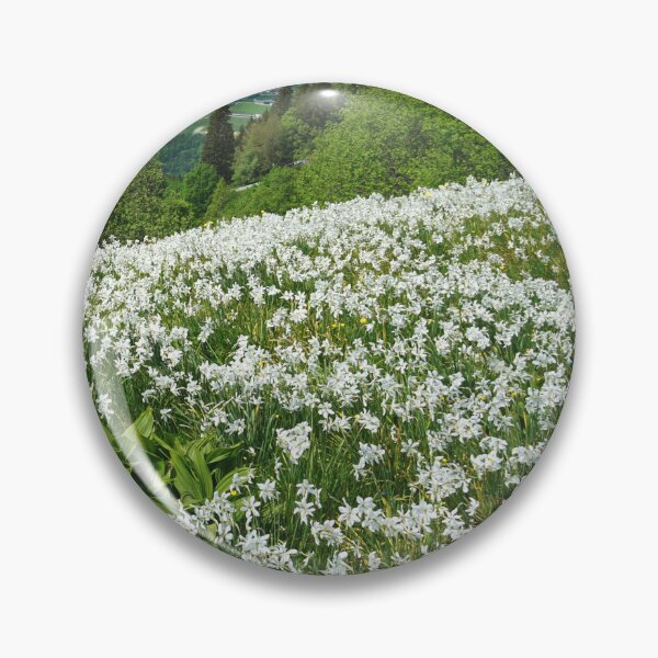 Item preview, A field of daffodils Switzerland designed and sold by nikawanders.